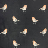 Robin Bird Reversible Scarf Cashmere Mix Black