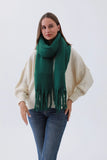 Cozy Knit Soild Scarf with Tassels in Green